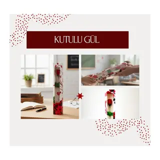Kutulu Gül - Öğretmenler Günü Hediyesi