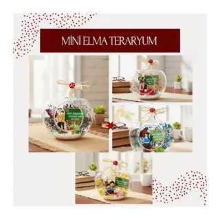 Mini Elma Teraryum - Öğretmenler Günü Hediyesi