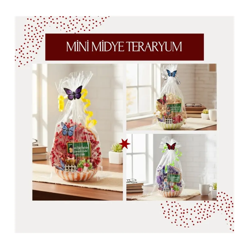 Mini Midye Teraryum - Öğretmenler Günü Hediyesi