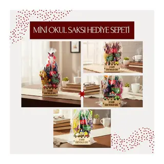 Mini Okul Saksı Hediye Sepeti - Öğretmenler Günü Hediyesi