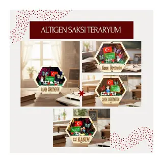 Altıgen Saksı Teraryum - Öğretmenler Günü Hediyesi