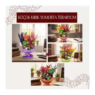 Küçük Kırık Yumurta Teraryum - Öğretmenler Günü Hediyesi