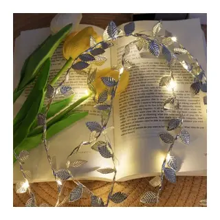 3 Metre Yaldızlı Gümüş LED Işık