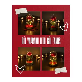 Gül Yapraklı Ledli Gül Fanus