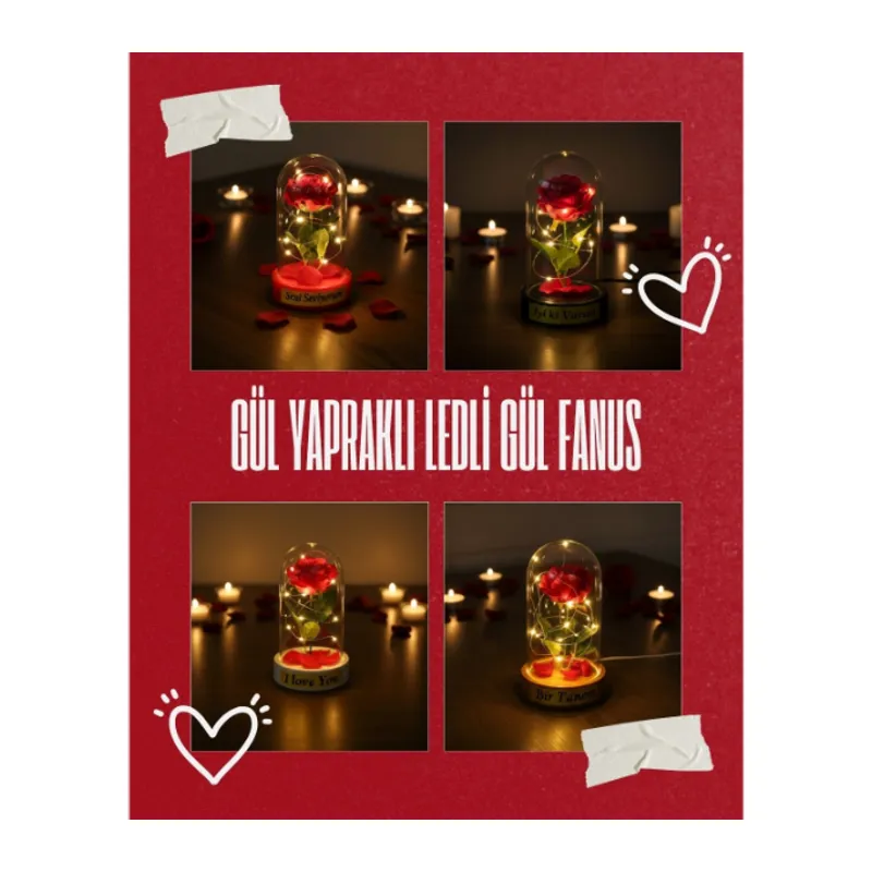 Gül Yapraklı Ledli Gül Fanus