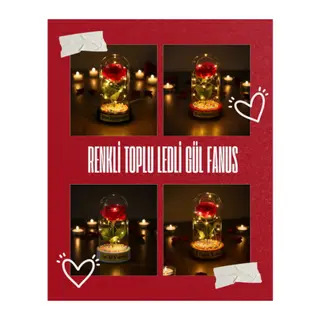 Renkli Toplu Ledli Gül Fanus