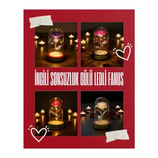 İncili Sonsuzluk Gülü Ledli Fanus