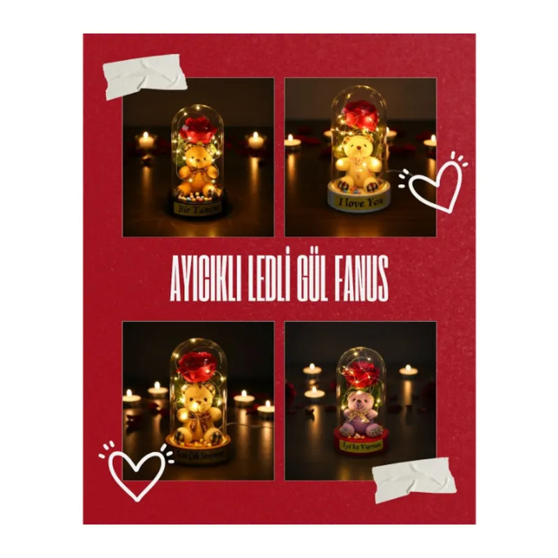 Ayıcıklı Ledli Gül Fanus