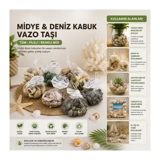 Dekoratif Vazo Taşı - Midye ve Deniz Kabuğu - Fileli Renkli Mix