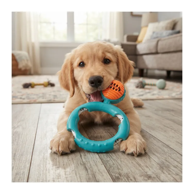 Halatlı Disk Köpek Isırma Oyuncağı - Mama Ödüllü Mekanizma
