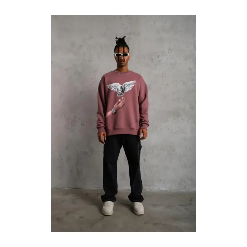 Erkek Güvercin Baskılı Sweatshirt - Gül Kurusu