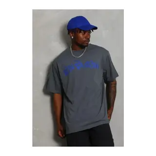 Erkek Baskılı T-Shirt Kısa Kol Bisiklet Yaka Regular Fit Rahat Kalıp Günlük Tişört - Füme