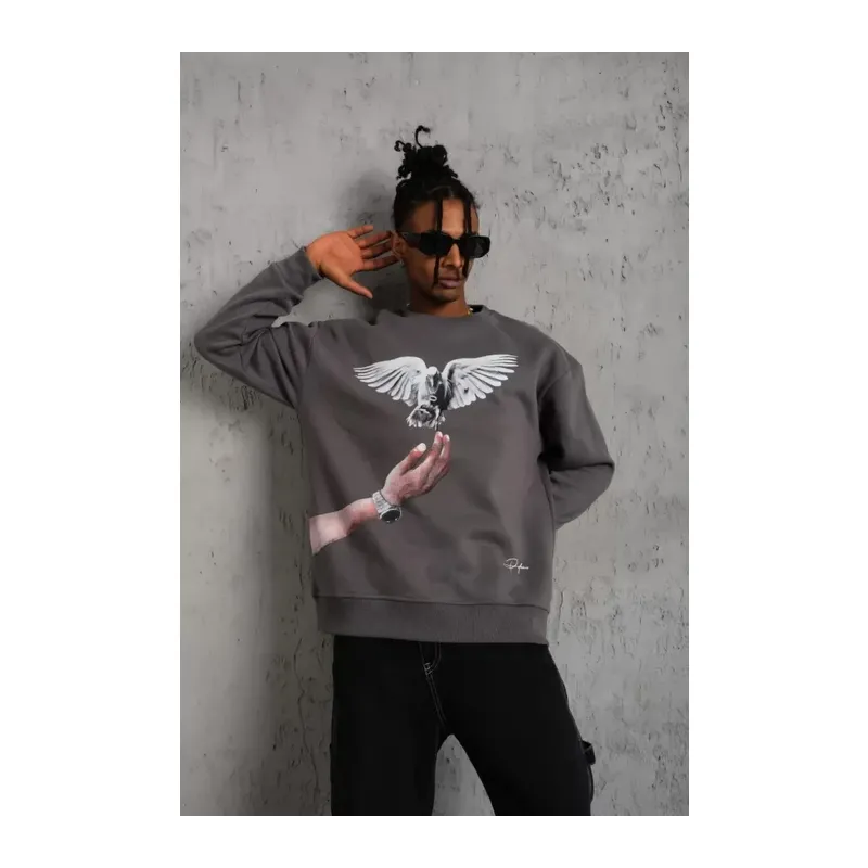 Erkek Güvercin Baskılı Sweatshirt - Gri