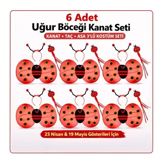 639lı Uğur Böceği Kostüm Seti – Kanat Taç Asa