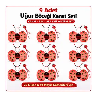 9’lu Uğur Böceği Kostüm Seti – Kanat Taç Asa