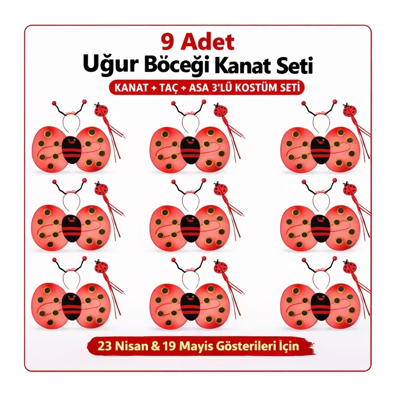 9’lu Uğur Böceği Kostüm Seti – Kanat Taç Asa