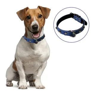 BUFFER® Yumuşak Dokulu Deri Köpek Gezdirme Boyun Tasması (Large)