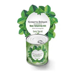 BUFFER® Konserve Bahçem Nane Yetiştirme Kiti