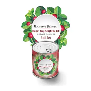 BUFFER® Konserve Bahçem Evde Konservede Fındık Turp Yetiştirme Kiti