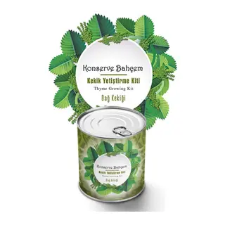 BUFFER® Konserve Bahçem Evde Konservede Kekik Dağ Kekiği Yetiştirme Kiti