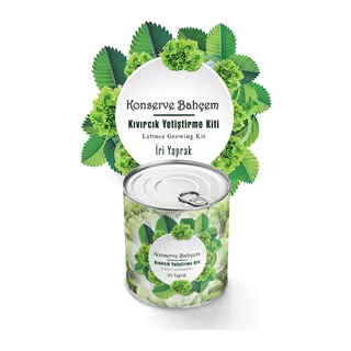 BUFFER® Konserve Bahçem Evde Konservede İri Yapraklı Kıvırcık Yetiştirme Kiti
