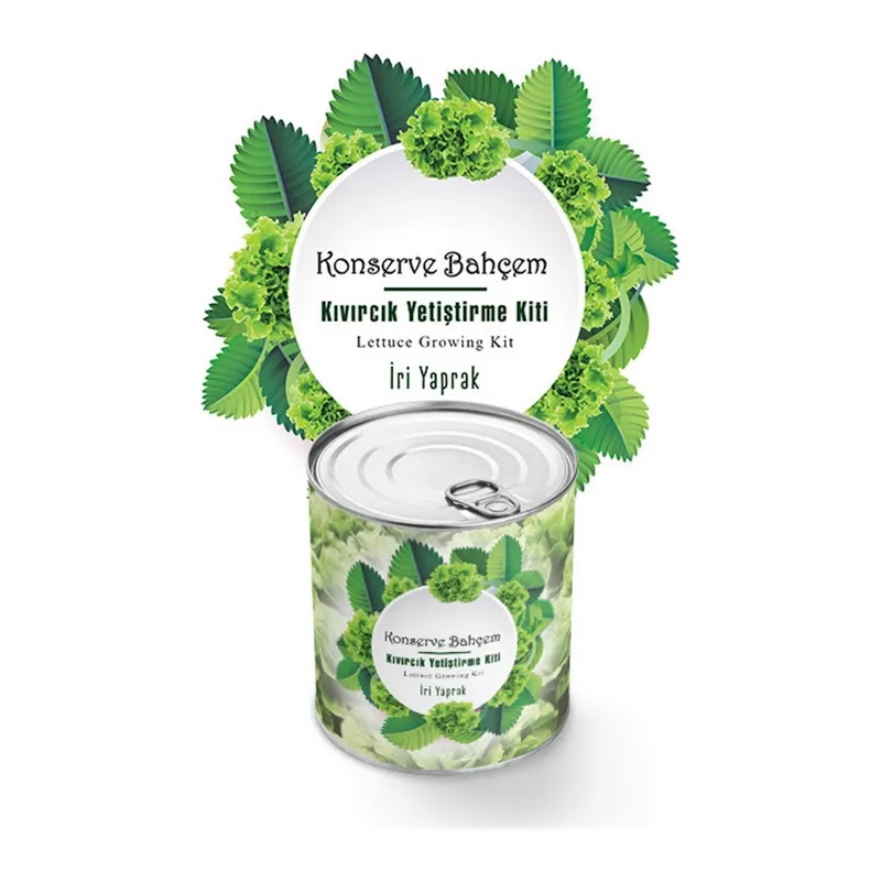 BUFFER® Konserve Bahçem Evde Konservede İri Yapraklı Kıvırcık Yetiştirme Kiti