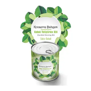 BUFFER® Konserve Bahçem Evde Konservede Sakız Kabak Yetiştirme Kiti