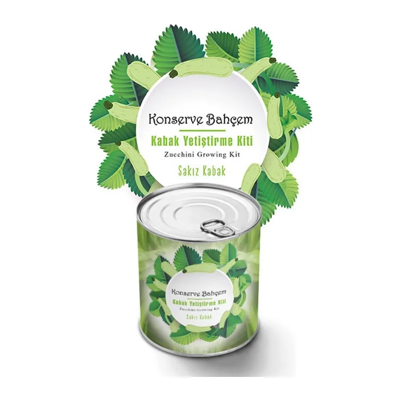 BUFFER® Konserve Bahçem Evde Konservede Sakız Kabak Yetiştirme Kiti