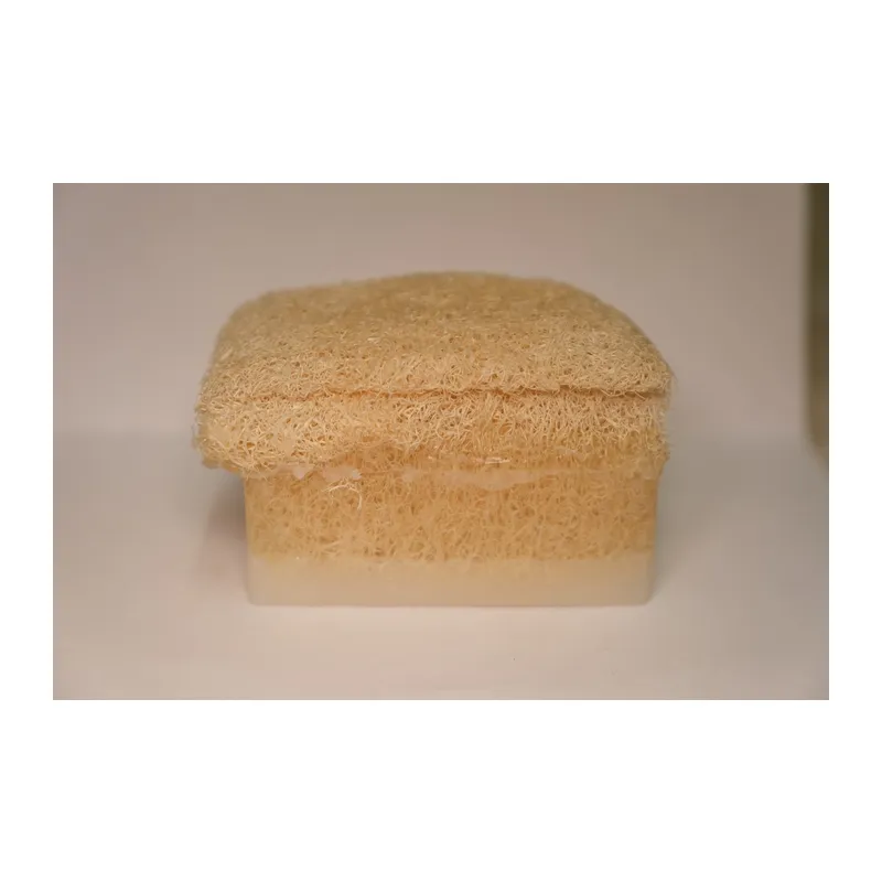 Keçi Sütlü Lifli Sabun 160gr