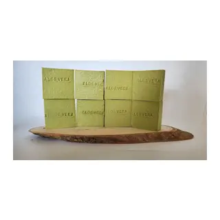 Çiçek Grubu Aloevera 8 Li