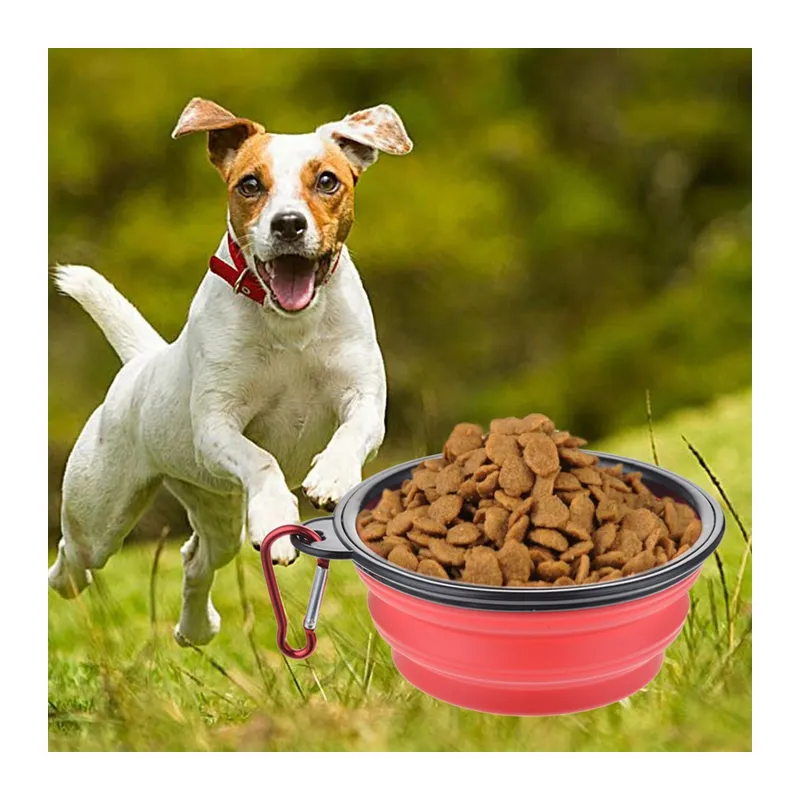 BUFFER® Katlanabilir Kedi Köpek Mama ve Su Kabı Köpek Oyuncağı