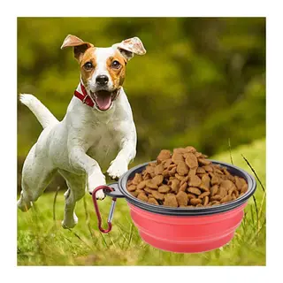 TrdStore® Katlanabilir Kedi Köpek Mama ve Su Kabı Köpek Oyuncağı