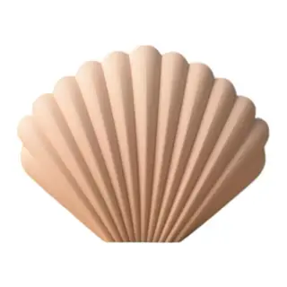 Deniz Kabuğu Formlu 3d Modern Dekoratif Boyanabilir Vazo