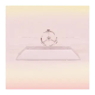 BUFFER® Dekoratif Masa Üstü Obje Manyetik Kinetik Orbital Dönen Yunuslar